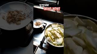 দুপুরের রান্না বান্না। subscribe viralshortsadiaalam sunresujonamibolijetore cookinglove [upl. by Ielak]