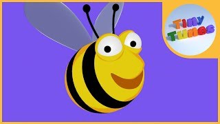 A Bee C song  Alphabet Song by Tiny Tunes [upl. by Orme]