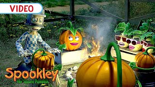 The Scary Story 👻🔥  Spookleys Halloween Shorts  spookleythesquarepumpkin halloween [upl. by Helene]