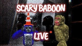 Playing Scary Baboon LIVE [upl. by Nuahs]