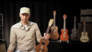 Ukulele Lernen Folge 1 Wie stimmt man eine Ukulele Welche Modelle gibt es [upl. by Ahsert]