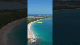 5 Crazy Facts About Bahamas [upl. by Ahsimac74]