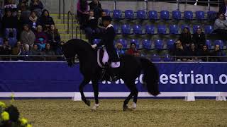 The Sydney CDI 2018  Deon Stokes and Royal Oak II 2nd in the Equestrian NSW GP Freestyle [upl. by Anallese338]