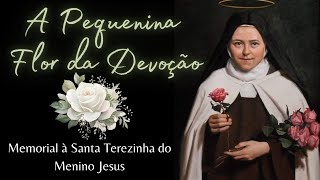 A PEQUENINA FLOR DA DEVOÇÃO  MEMORIAL Á SANTA TERESINHA DO MENINO JESUS [upl. by Volding376]