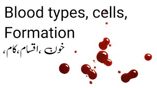 blood study notes hematologyheamoglobinbloodpressure hematology [upl. by Wordoow815]