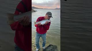 Fishing At Beautiful 11 Mile Reservoir In Lake George Colorado Amazing Fish fishing world fun [upl. by Akirahc]