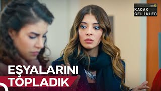 Ev Arkadaşlarım Tarafından Kapı Dışarı Edildim 😨  Günlük Şebnem Dozu 60 [upl. by Constancy977]