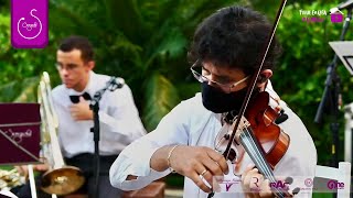 Ave Maria  Gonoud  Instrumental  Violino e Piano  Musical Songsdei  Casamento [upl. by Modern]