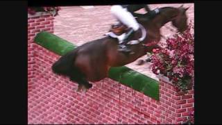 Puissance WIHS  Horse jumps 7 foot wall [upl. by Yadroc458]