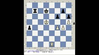 Berg Emanuel vs Filippov Anton  Calvia Chess Olympiad 2004 Mallorca Spain [upl. by Barnes]