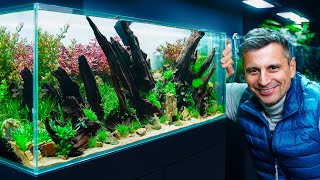 Creating A Stunning 243l Planted Aquarium With Ironwood Mastering The Art Of Perspective [upl. by Airual]