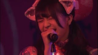 わーすた  PLATONIC GIRL【JAM 2018 ニコ生】 [upl. by Annasiul420]