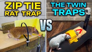 RATS hate these traps … 100 success [upl. by Reedy614]