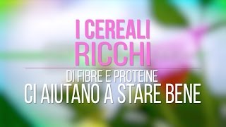 I cereali ecco come distinguerli [upl. by Johiah]