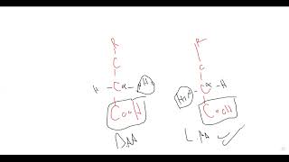 L2 Introduction to Amino Acids Classification [upl. by Brook]