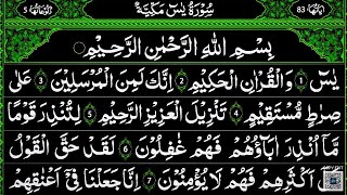 Surah Yaseen Surah Rahman  Best Quran Recitation Surah Mulk  Surah Yasin full Quran Tilawat [upl. by Cullan]