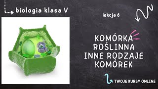 Biologia klasa 5 Lekcja 6  Komórka roślinna i inne rodzaje komórek [upl. by Seldan]