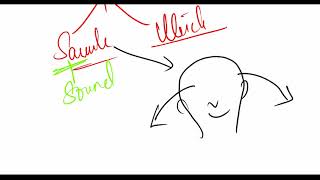 Otolith  Utricle  saccule and maculae  Physiology of balance  equilibrium and Ear [upl. by Lindell731]