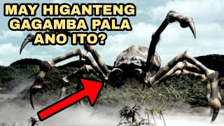 TOP 10 MALAKING GAGAMBA SA BUONG MUNDO  NAKAKAPANINDIG BALAHIBO [upl. by Raval]