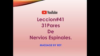 Conoces los Los PLEXOS y los 31 PARES DE NERVIOS ESPINALES Leccion41 [upl. by Lek480]