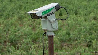 Most Intelligent and Effective Bird Deterrent  AVIX Autonomic Mark II [upl. by Osbert]