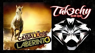 Laberinto  Corridos de Caballos Audio EpicENTER [upl. by Harman]