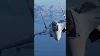 Su30 Pulls some Gs dcs [upl. by Ahsital]