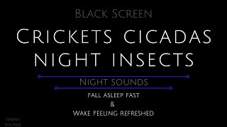 10 Hours  Crickets and Cicadas  Summer Night Sounds  Crickets for Sleeping  Cicadas  Crickets [upl. by Jerrome722]