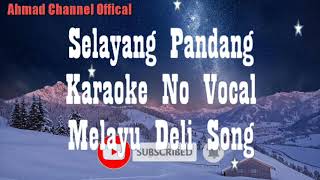 Selayang Pandang Lagu Melayu Deli Musik Karaoke no vocal [upl. by Noyk]