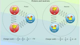 beta decay and quark changes animation [upl. by Eceinahs]