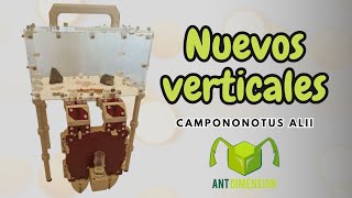 ¡¡HORMIGUEROS VERTICALES DE ANTDIMENSION [upl. by Akemot]