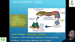 Protozoários Teórica 2 Doenças causadas por Sarcodíneos [upl. by Yleak]