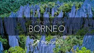 The Pinnacles in Gunung Mulu National Park Borneo [upl. by Klepac]