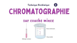 Principe de la Chromatographie sur couche mince CCM  Biochimie Facile [upl. by Rodenhouse]