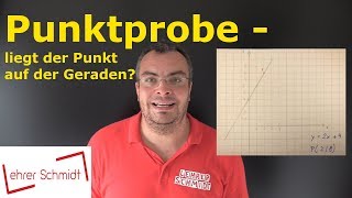 Punktprobe  Liegt der Punkt auf der Geraden  Mathematik  einfach erklärt  Lehrerschmidt [upl. by Alethea]