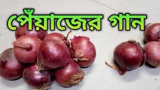 পেঁয়াজের বাজারে আগুন  পেঁয়াজের গান  peyajer bazare agun  2023 [upl. by Assyl452]