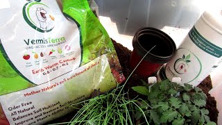 Using Worm Castings amp Worm Casting Tea with Your Seed Starting Mixes Ratios Recipes amp Frequency [upl. by Joslyn]