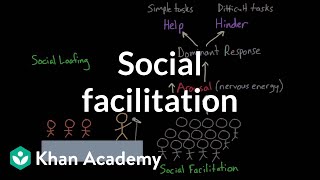 Social facilitation and social loafing  Behavior  MCAT  Khan Academy [upl. by Einniw780]