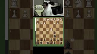 Trap against Scotch gambit chess chessgame chesss [upl. by Tabber]