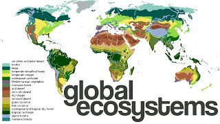 What are Global EcosystemsBiomes [upl. by Saddler915]