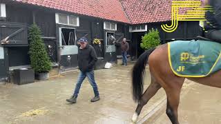 Newmarket Gallops 060724  Julia Feilden Racing [upl. by Calv]