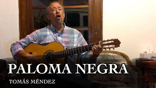 PALOMA NEGRA Cover de Tomás Méndez [upl. by Emmons]