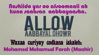 ALLOW AABAYAAL DHOWR  NASHIIDO YAR OO AFSOMALI AH  OGAALKA DUNIDA [upl. by Hamrah]