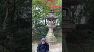 Fushimi Inari Taisha  Kyoto  21 Nov 2019 [upl. by Lorena163]