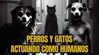 Perros y Gatos Actúan COMO HUMANOS ¿Fenómeno Paranormal [upl. by Amato]