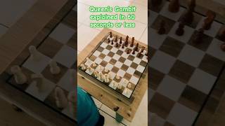 Queens Gambit explained in 60 seconds or less shorts  chess openings [upl. by Aitnuahs991]