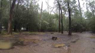 Horseshoe Bend Camp Big River State Forest VIC [upl. by Razid450]