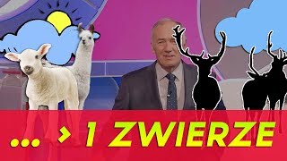 WPADKA ➫ Familiada  Więcej niż jedno zwierzę to [upl. by Kenji]