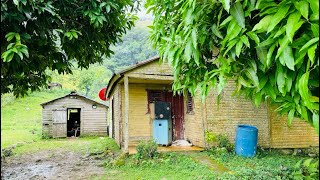 CAMPOS CASI ABANDONADOS EN REPÚBLICA DOMINICANA [upl. by Efi413]