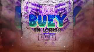 El Buey En Lorica  Champeta africana  Djose2en1 [upl. by Itoyj]